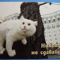 НИКОГДА !... :: Валерий Кокорев НИКОГДА !... :: Валерий Кокорев