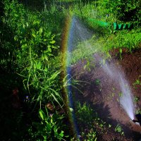 Вот такая радуга :: Людмила Смородинская Вот такая радуга :: Людмила Смородинская