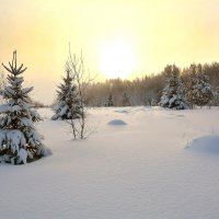 Утро нового дня :: Михаил Белоусов