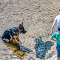 Ведь не дадут спокойно посидеть! :: Игорь Викторов