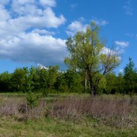 Пейзажи Крыма :: Валентин Семчишин