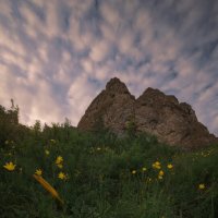 * :: Александр Иванов