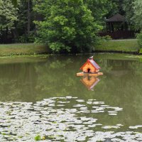 Москва. Воронцовский парк. :: Наташа ***** Москва. Воронцовский парк. :: Наташа *****
