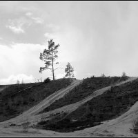 ...просто бизнес... :: Aleksandr Gal