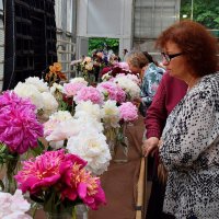 На выставке "Фестиваль пионов и ирисов" :: Татьяна Помогалова