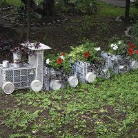 Цветочный поезд :: Владимир Кроливец