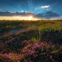 Запах степи на закате :: Фёдор. Лашков