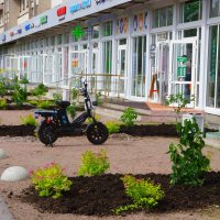 "Красота - лучше воровства !" :: Юрий Куликов