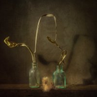 *** :: Oleg Rastorguev