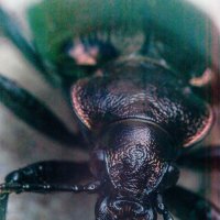 Ну, что... Страшно вам, людишки? :: Андрей Щетинин Ну, что... Страшно вам, людишки? :: Андрей Щетинин