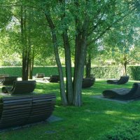 Раннее утро :: Владимир Жуков