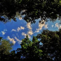 ***** :: Алексей Архипов