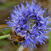 в последний день июня 18 :: Александр Прокудин