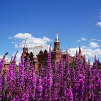 Сады на Манежной :: Татьяна Тюменка Сады на Манежной :: Татьяна Тюменка