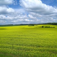 Кусочек Чувашии. :: unix (Илья Утропов)