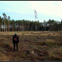 ...просто бизнес :: Aleksandr Gal