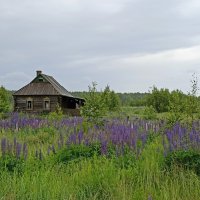 Заброшенная деревенька :: Pippa Заброшенная деревенька :: Pippa