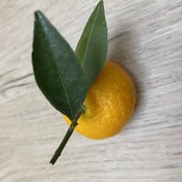 Все просто :: Натали 