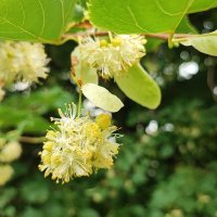 ,,, :: Сергей Тимоновский