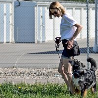 Слушай меня! :: Alexandеr P