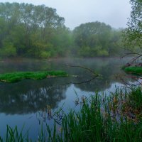 * :: Виталий Емельянов