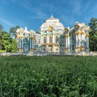 Про Питер :: Владимир Колесников