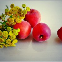 АБРИКОСЫ... :: Elvira E. 