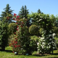 французский парк в Рундале :: ИННА ПОРОХОВА