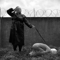 * :: Нина Зорич