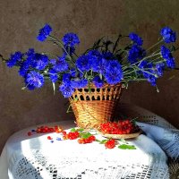 Лето :: Валентина Богатко 