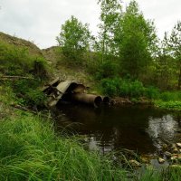 *** :: Николай Гирш