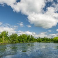 ... :: Жора Житников