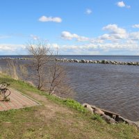 Ладожское Озеро :: Наталья Герасимова