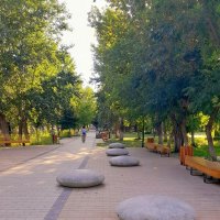 Парковый ландшафт . ВКО Бухтарма . :: Мила Бовкун Парковый ландшафт . ВКО Бухтарма . :: Мила Бовкун