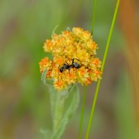 Из снятого сегодня 1 :: Александр Прокудин Из снятого сегодня 1 :: Александр Прокудин