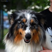 Каспер :: Полина Лопатина (Hunter)