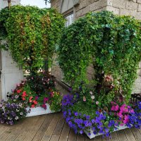 То, что рядом с нами :: Андрей Лукьянов