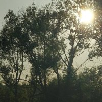 На Иртыше :: Андрей Хлопонин На Иртыше :: Андрей Хлопонин