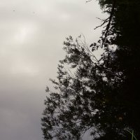 Назва. отсу. :: Денис Безногов Назва. отсу. :: Денис Безногов