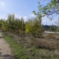 По просёлочной дороге шёл я молча :: Валентин Семчишин