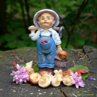 Летние мотивы... :: Андрей Заломленков