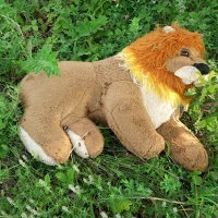 Лев так и не смог дойти до Изумрудного города... :: Андрей Заломленков