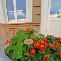 Гуляя по Екатеринбургу :: Pippa 