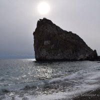 Природа Крыма :: Amazing Cosmea