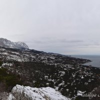 Природа Крыма :: Amazing Cosmea