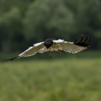 3 :: Сергей Флетчер