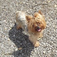 Дачница :: Freddy 97 Дачница :: Freddy 97