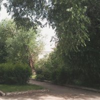 Путь в лето. :: Игорь Солдаткин