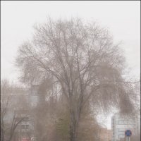 Тумана :: Александр Тарноградский