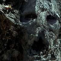 "Коряга". :: Журавлев Владимир 